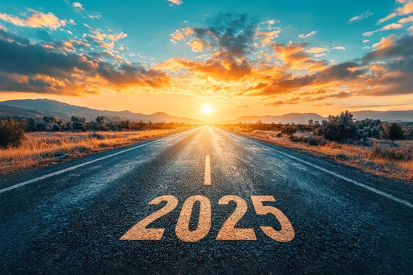 Embracing 2025 with Mangoal, let Mangoal OEM style dash cam continue to guard your every journey
